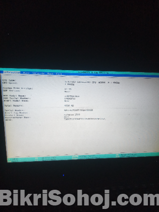 Acer extensa 2519
